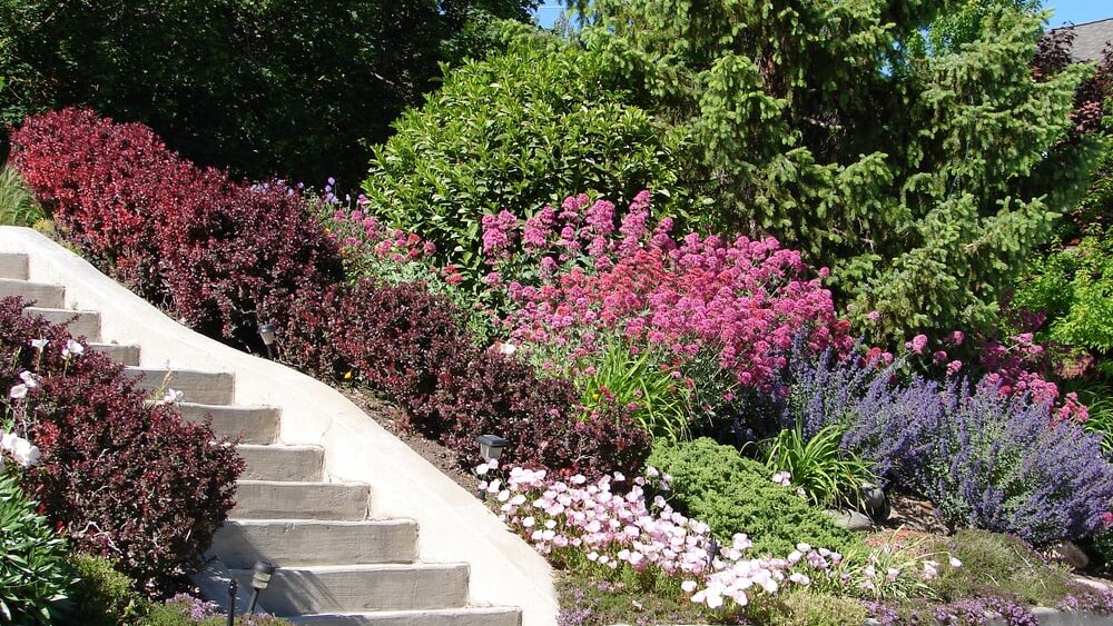 L’aménagement d’un jardin en pente avec des paliers successifs