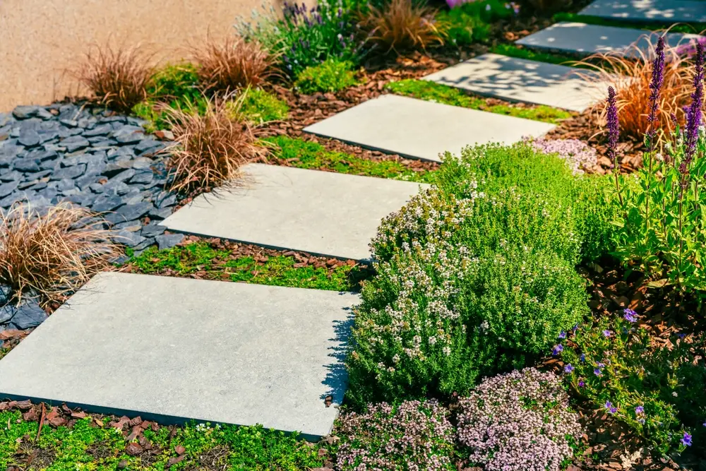 allée jardin